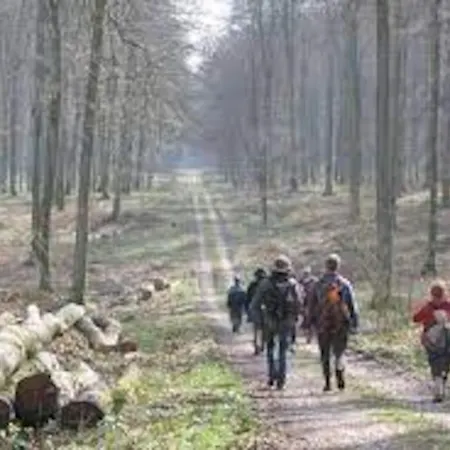 Votre Refuge Authentique En Normandie
